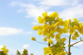 「ナガタ」　「ナガサキ」・・・貴方の楽しみ・喜び・幸せの為に・・・！