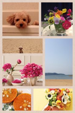 今日の出来事・写真をフェイスブックで・・・・。