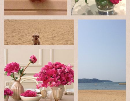 今日の出来事・写真をフェイスブックで・・・・。