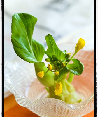 小さな花で気分転換・・・コップ花&ハーブティー