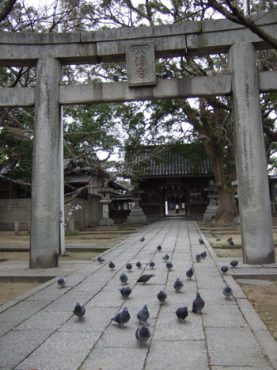 2007年度　初めの一日詣（ついたちもうで）・・・・ウンがついた！