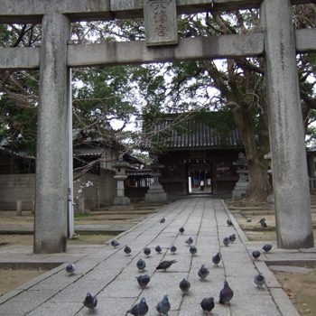 2007年度　初めの一日詣（ついたちもうで）・・・・ウンがついた！