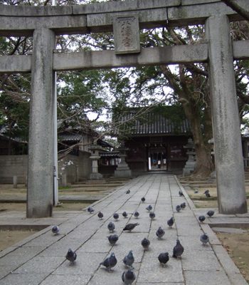 2007年度　初めの一日詣（ついたちもうで）・・・・ウンがついた！