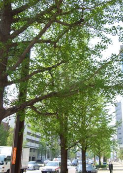 春から初夏へ・・・♡