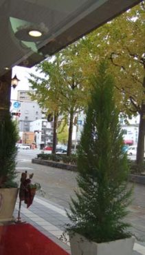 いっきに冬☆彡