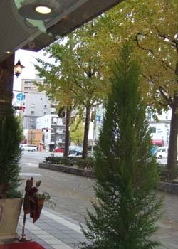 いっきに冬☆彡