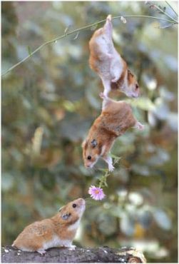 あっという間に師走！・・・で、ホットした事☆