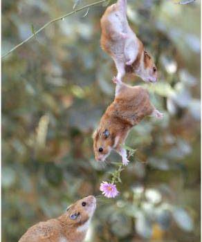 あっという間に師走！・・・で、ホットした事☆