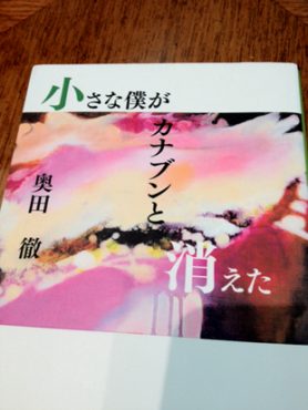 小さなカナブンが僕と消えた