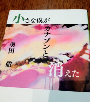 小さなカナブンが僕と消えた