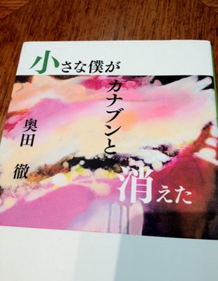 小さなカナブンが僕と消えた