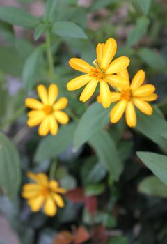 お盆休みのお知らせ