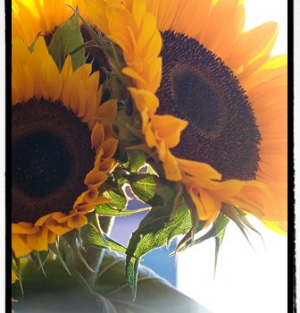 よりいい人間になり～よりいい柄を描きたい