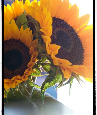 よりいい人間になり~よりいい柄を描きたい