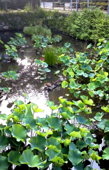 イタリア製ではございません～made in Japan です！